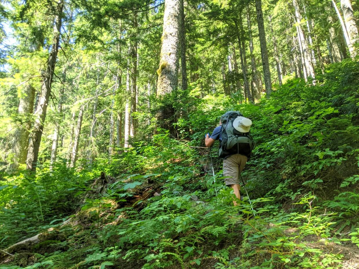 Back view of JR ascending steep dirt slope on forested section of the HBC Trail