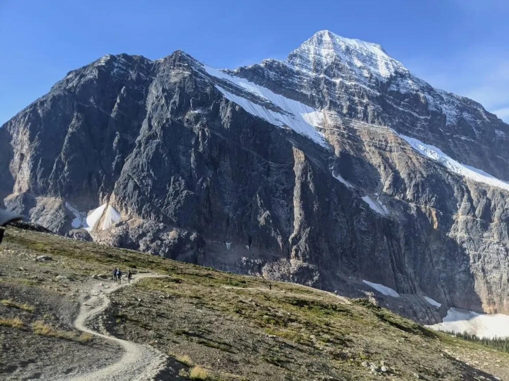 Wide shot of wide hiking path through meadow area towards large snowy mountain