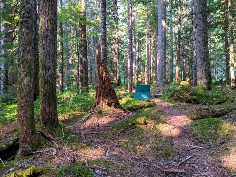 Back view of green backcountry campground throne toilet in forest