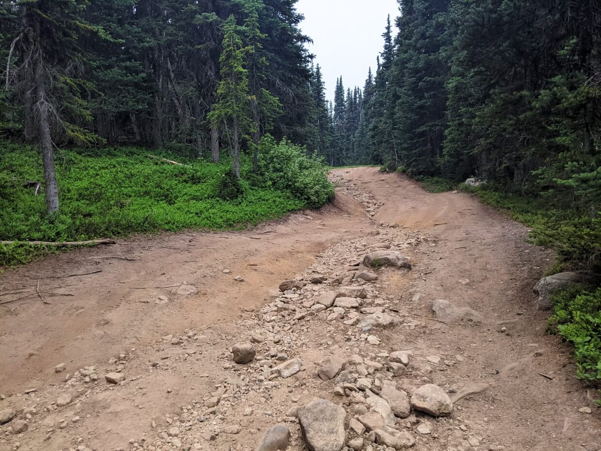 Looking up rocky dirt road, part of the HBC Trail from Blackeye's to Lodestone Lake