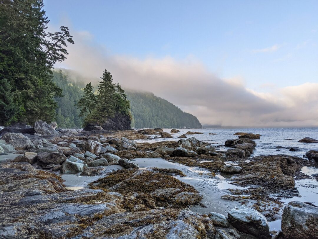The West Coast Trail: Complete 2026 Hiking Guide | Off Track Travel