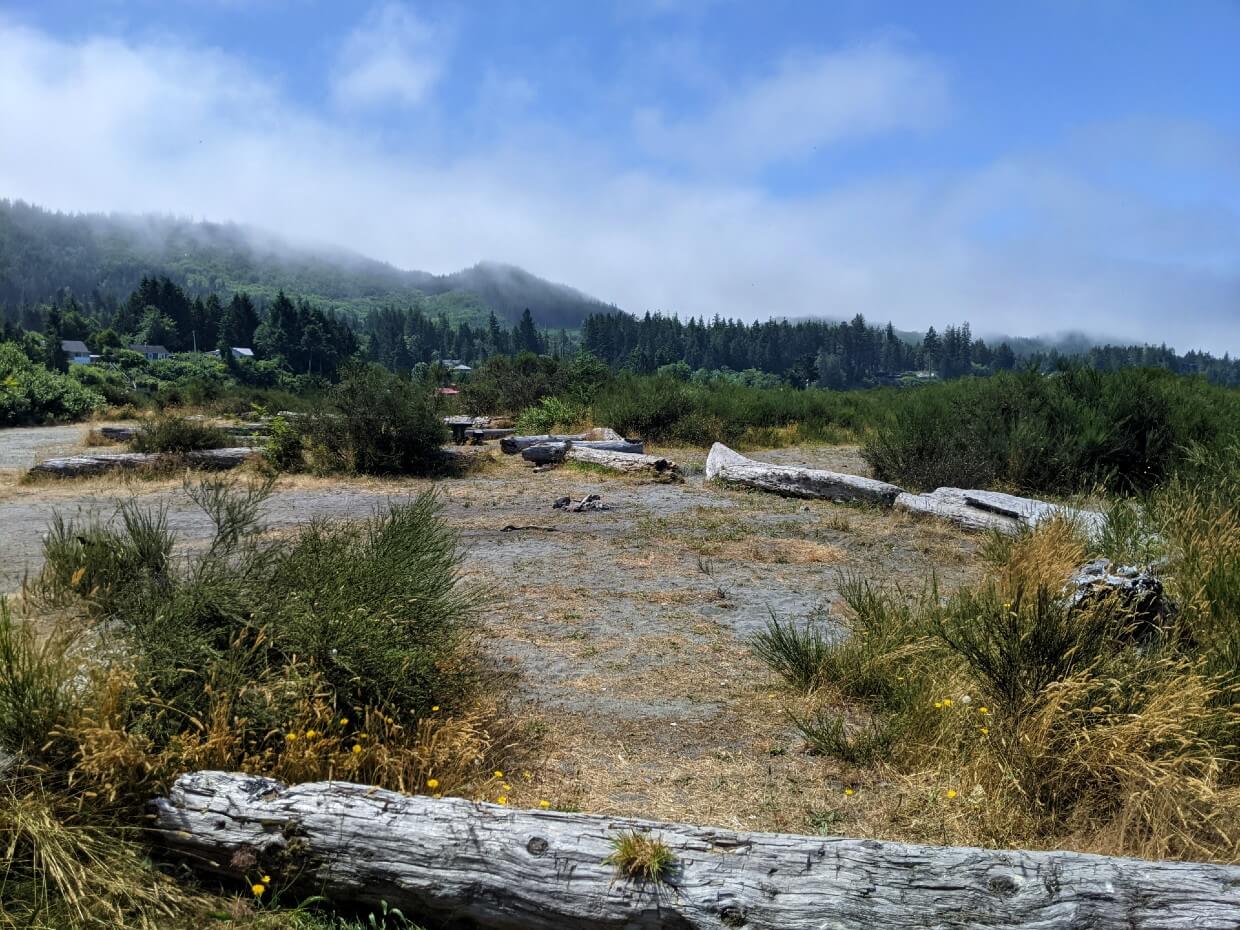Looking towards sandy campsite with rustic fire pit and driftwood dividers
