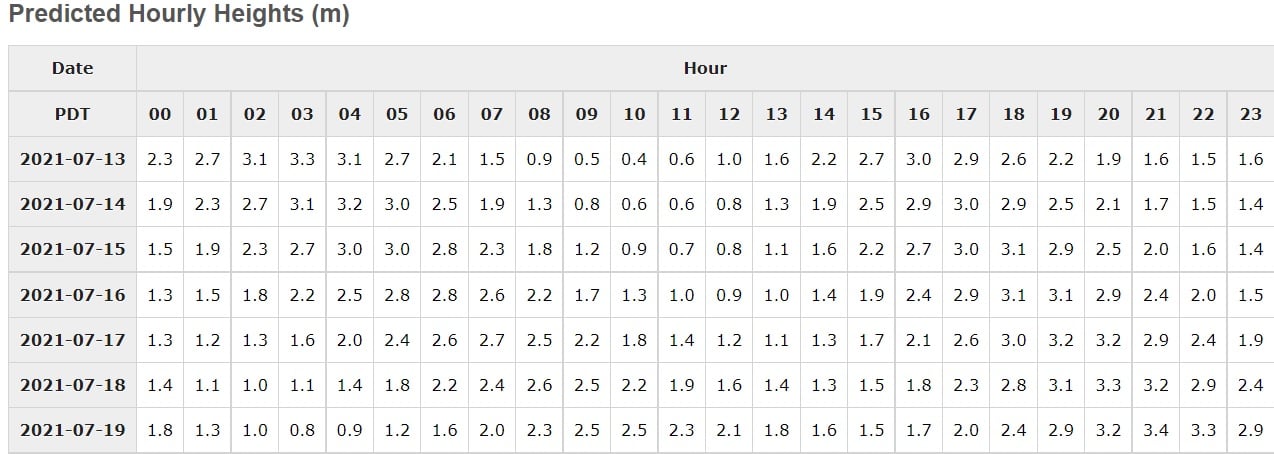 Screenshot of hourly time table for Tofino