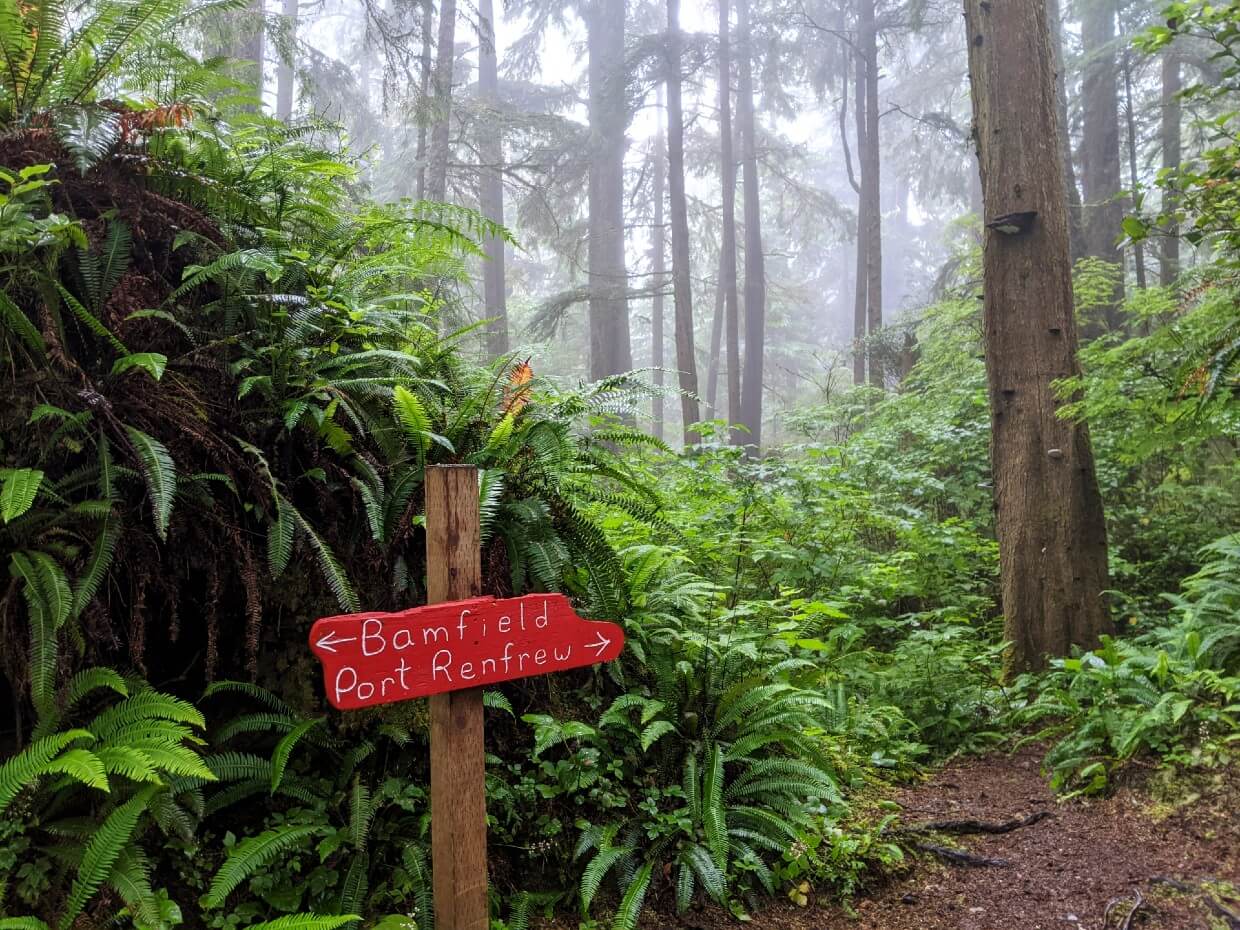 Misty forest setting with red signage indicating direction for Bamfield and Port Renfrew