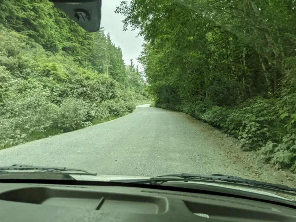 Driving towards Bamfield on unpaved logging, lined by forest