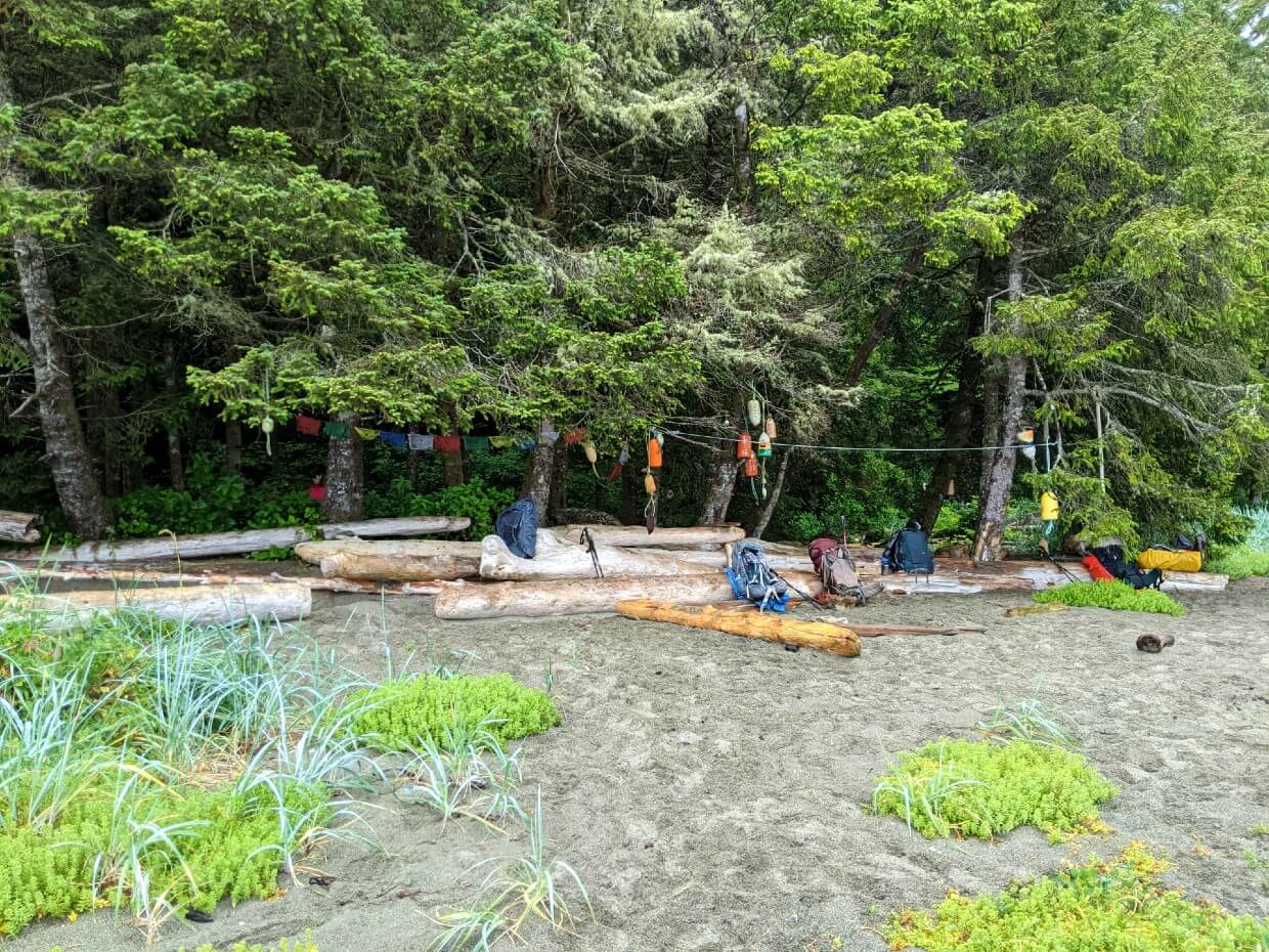 Sandy beach area with driftwood at Bonilla Point, just in front of forest area