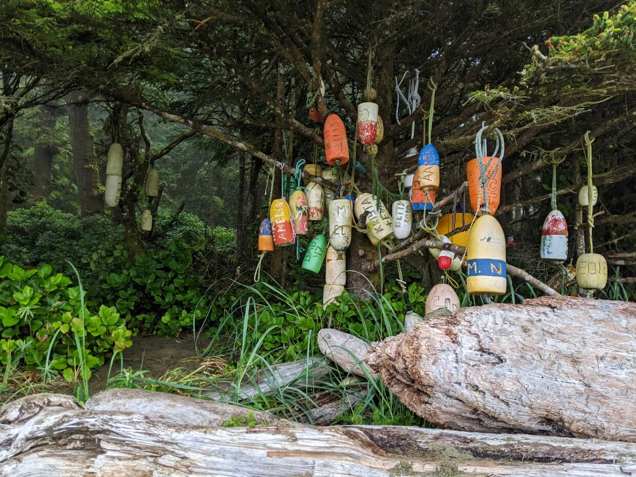 Colourful buoys on trees at edge of beach