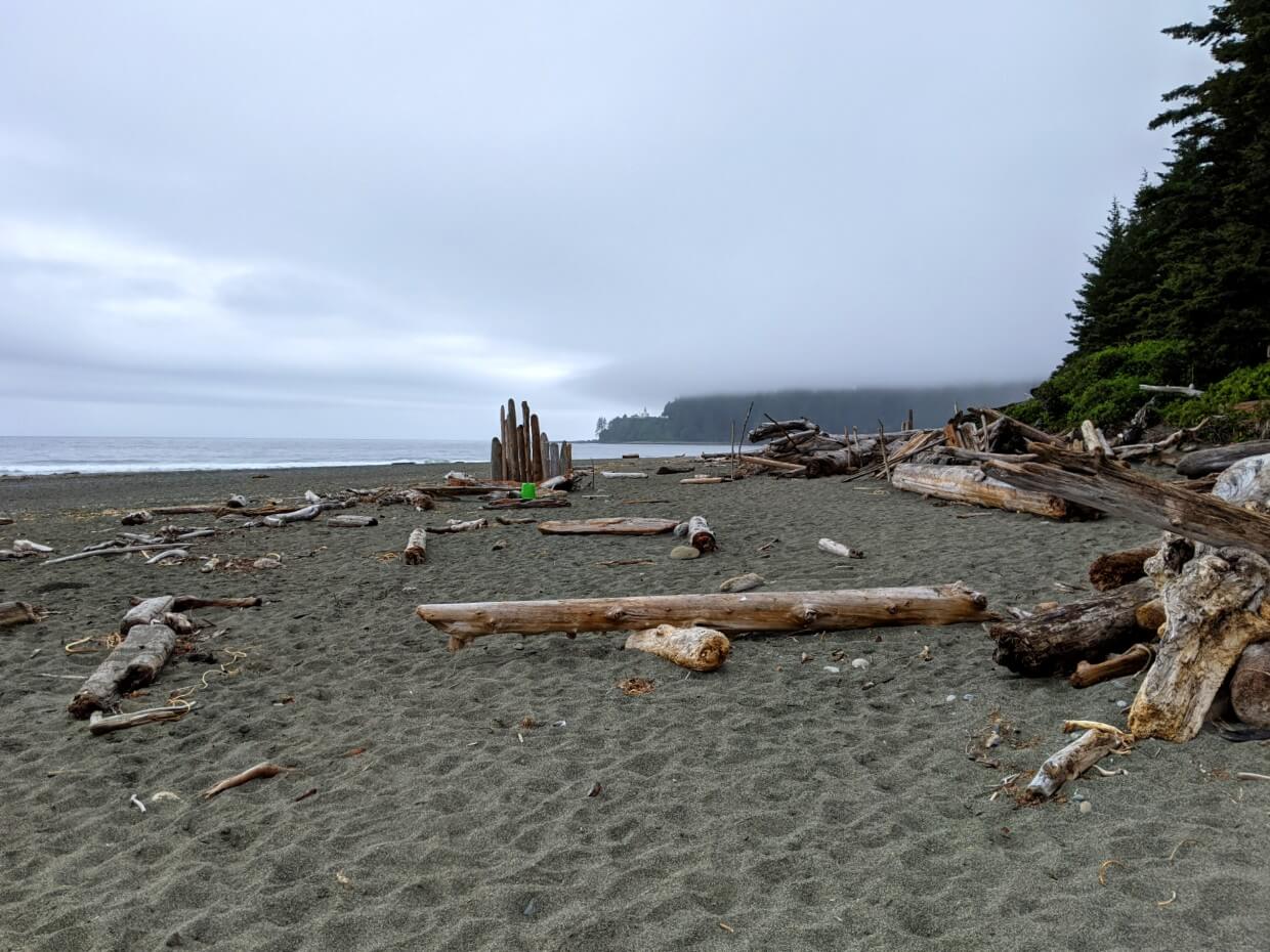 Sandy beach with scattered driftwood, long headland in background with lighthouse