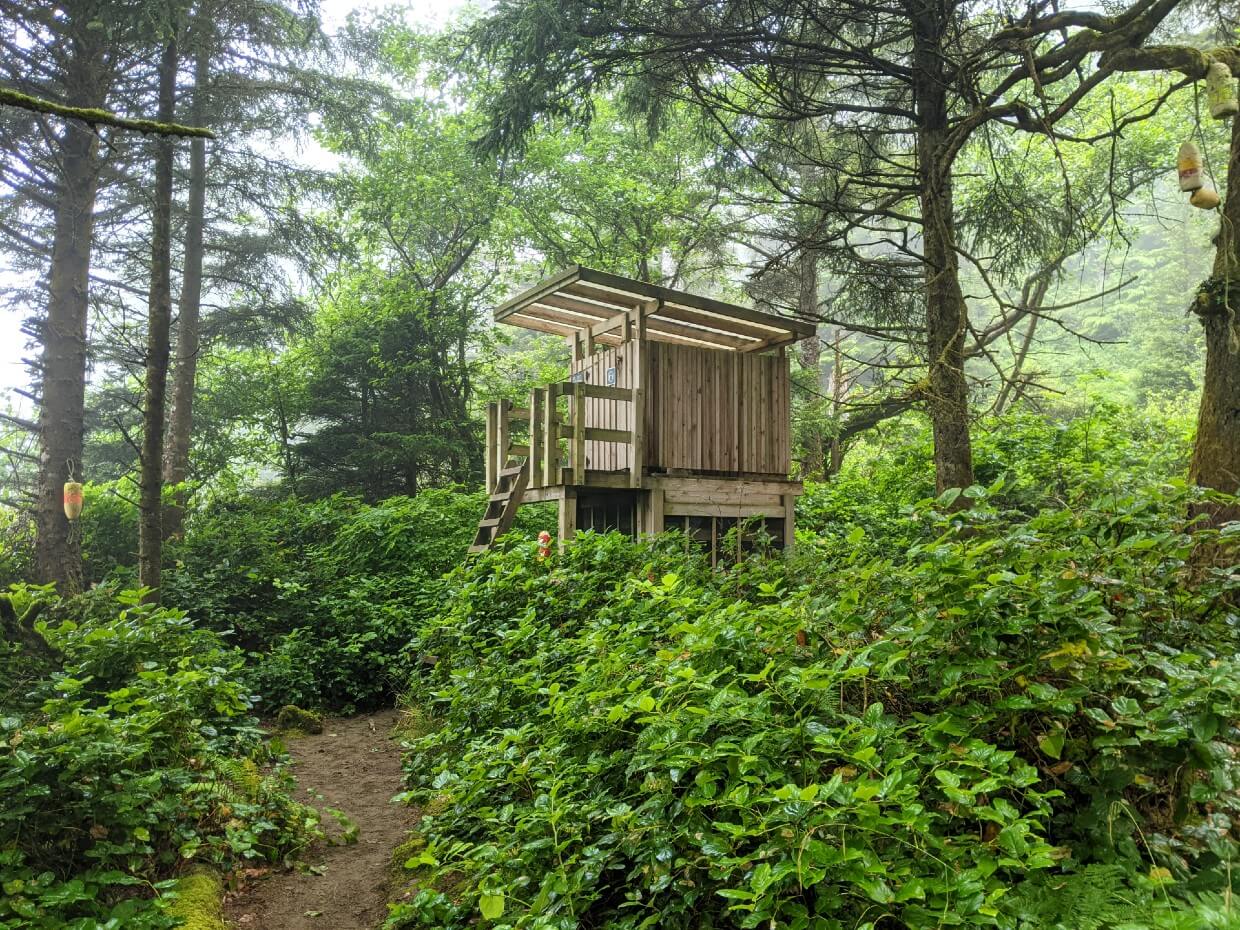 Forest view of elevated wooden outhouse at Cribs Creek campground