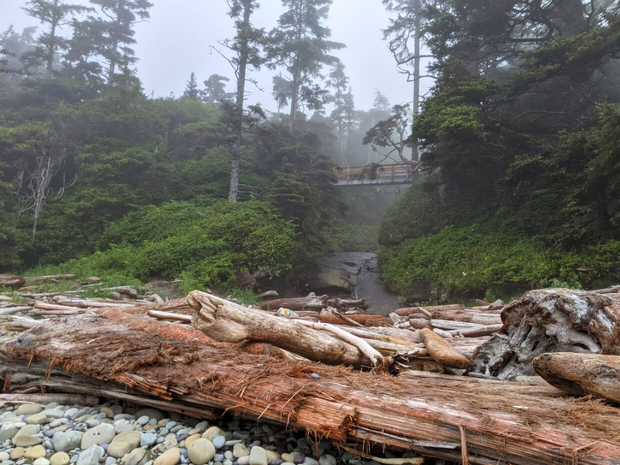 Pile of driftwood near treeline, with bridge crossing small creek in centre