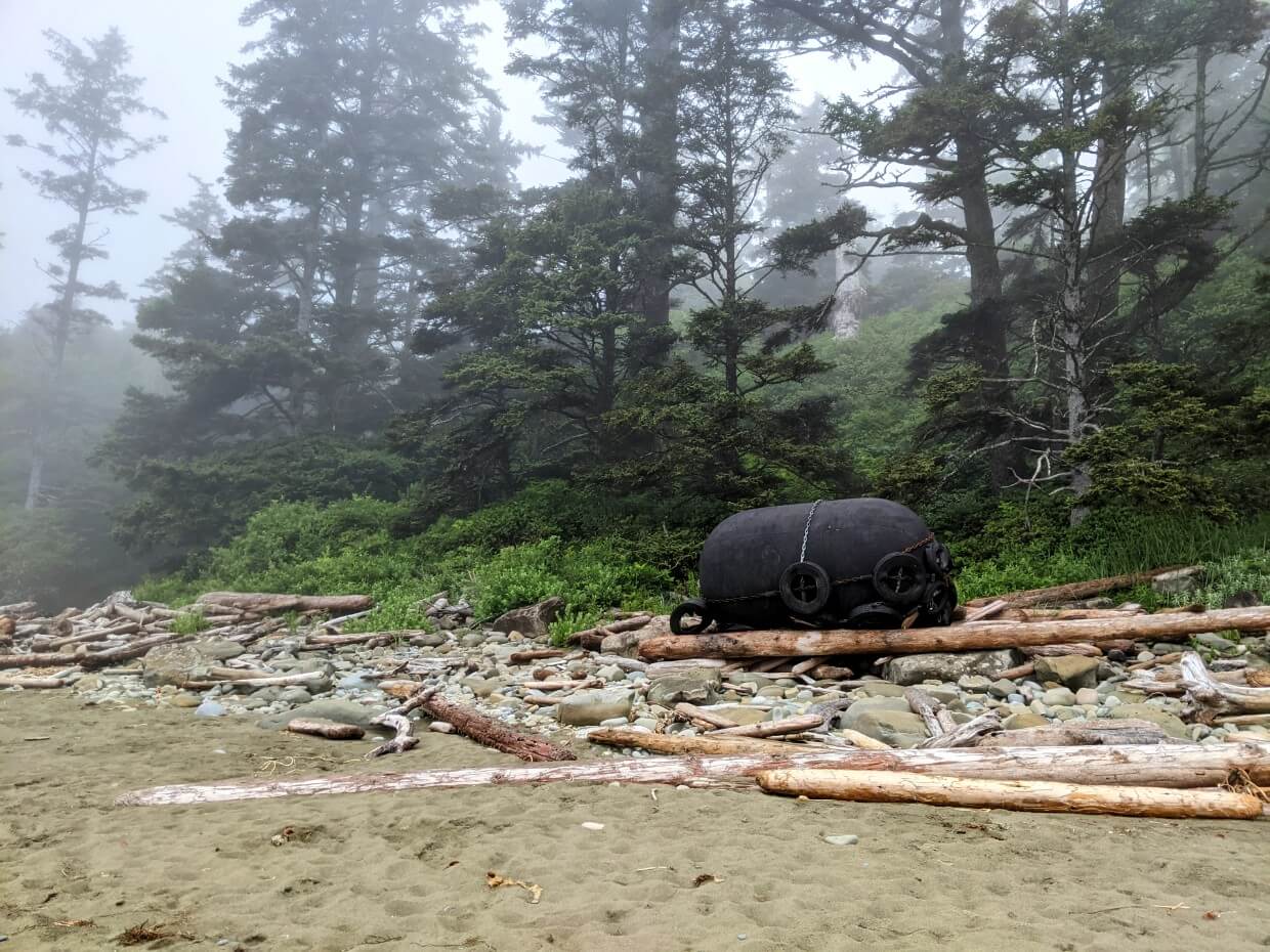 Looking inland from sandy beach, which is lined with driftwood and forest. Dare Beach area on the West Coast Trail