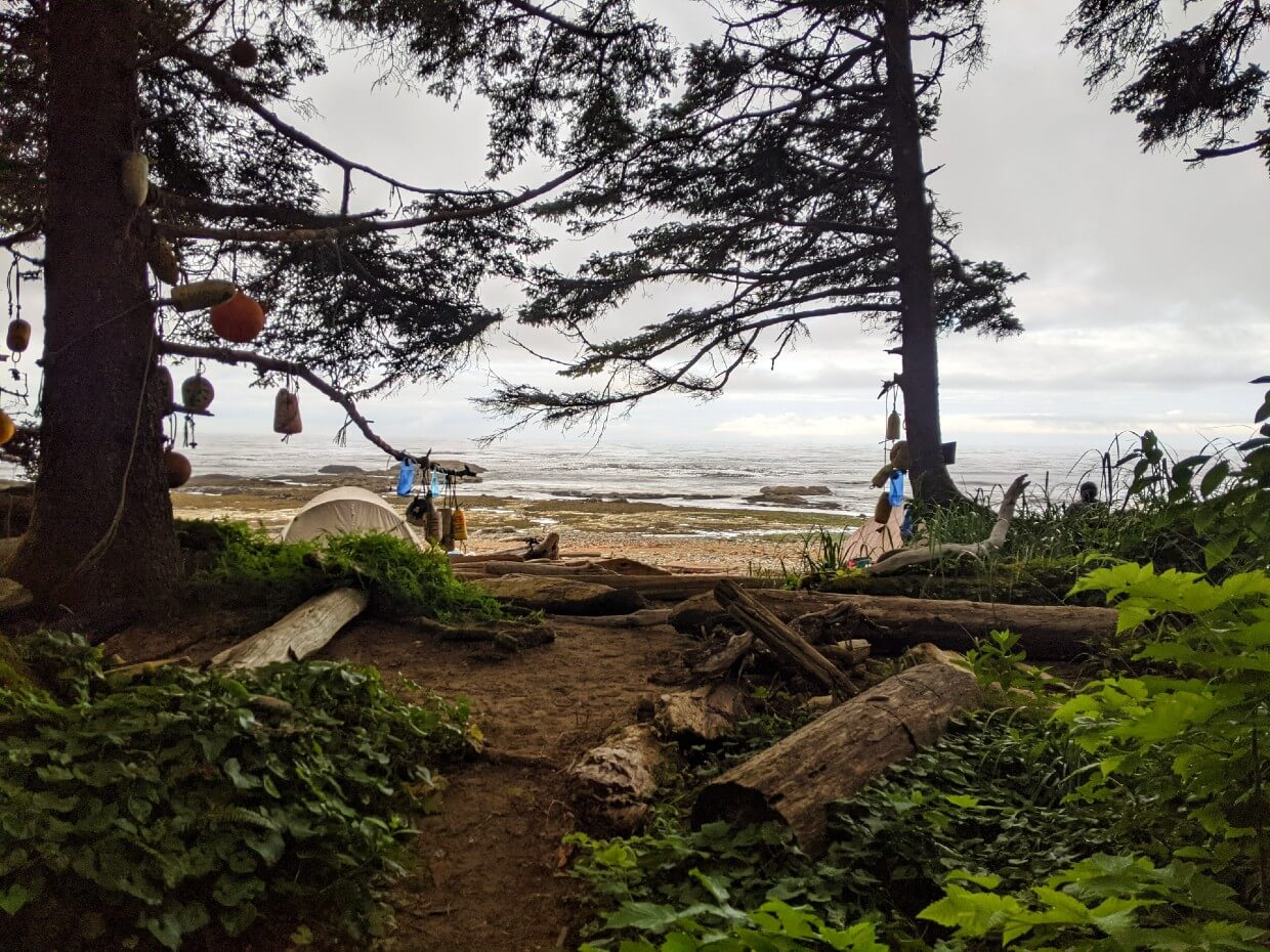Looking out through the forest towards the ocean at Darling River camp