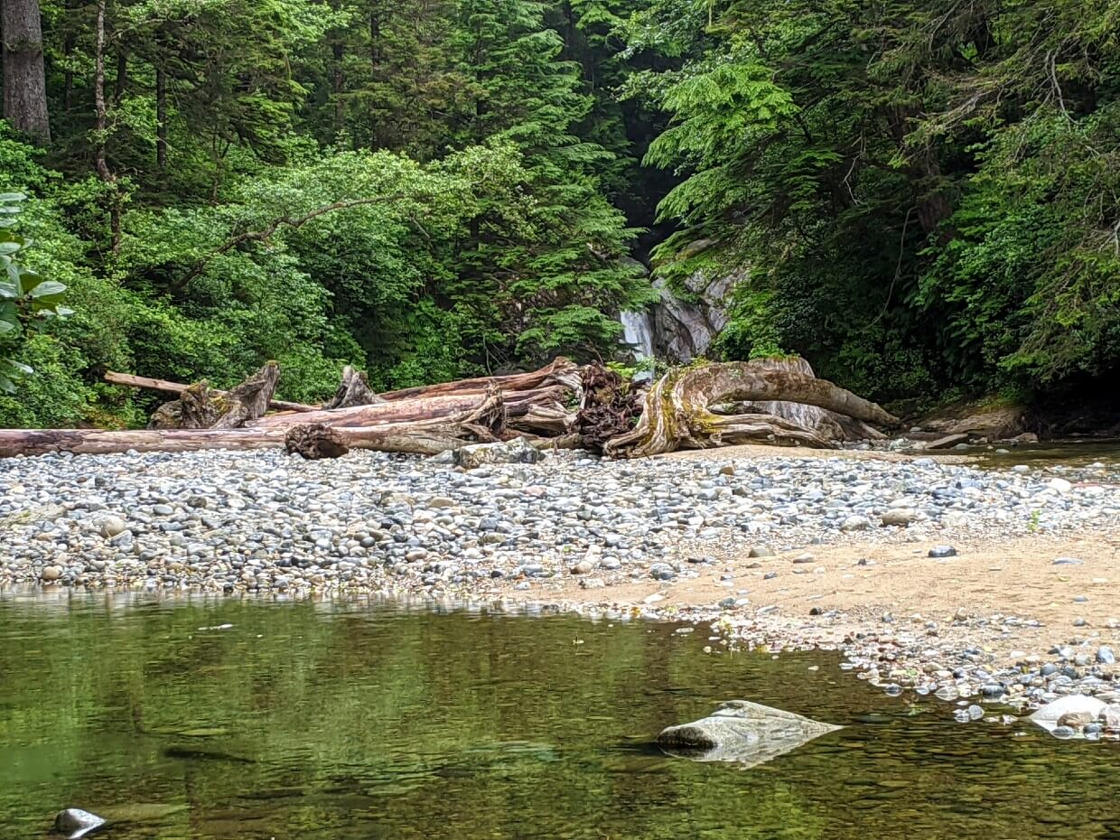 Looking up Darling River through forest towards distant waterfall