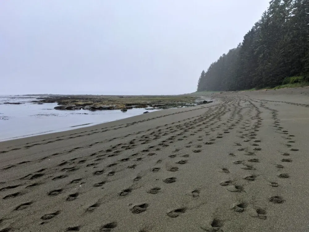 Many footsteps lead away from the camera on soft sand beach on West Coast Trail