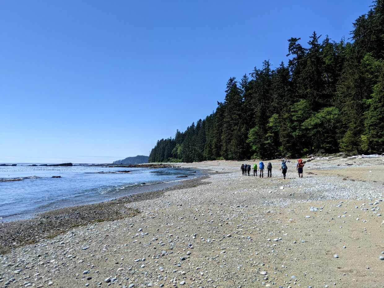 Back view of hikers walking away along sandy beach on West Coast Trail