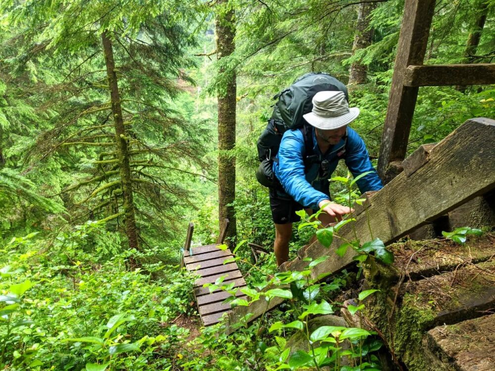 Front view of JR descending ladder in forest on the West Coast Trail