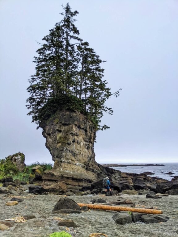 7 of the Best Beaches in British Columbia, Canada