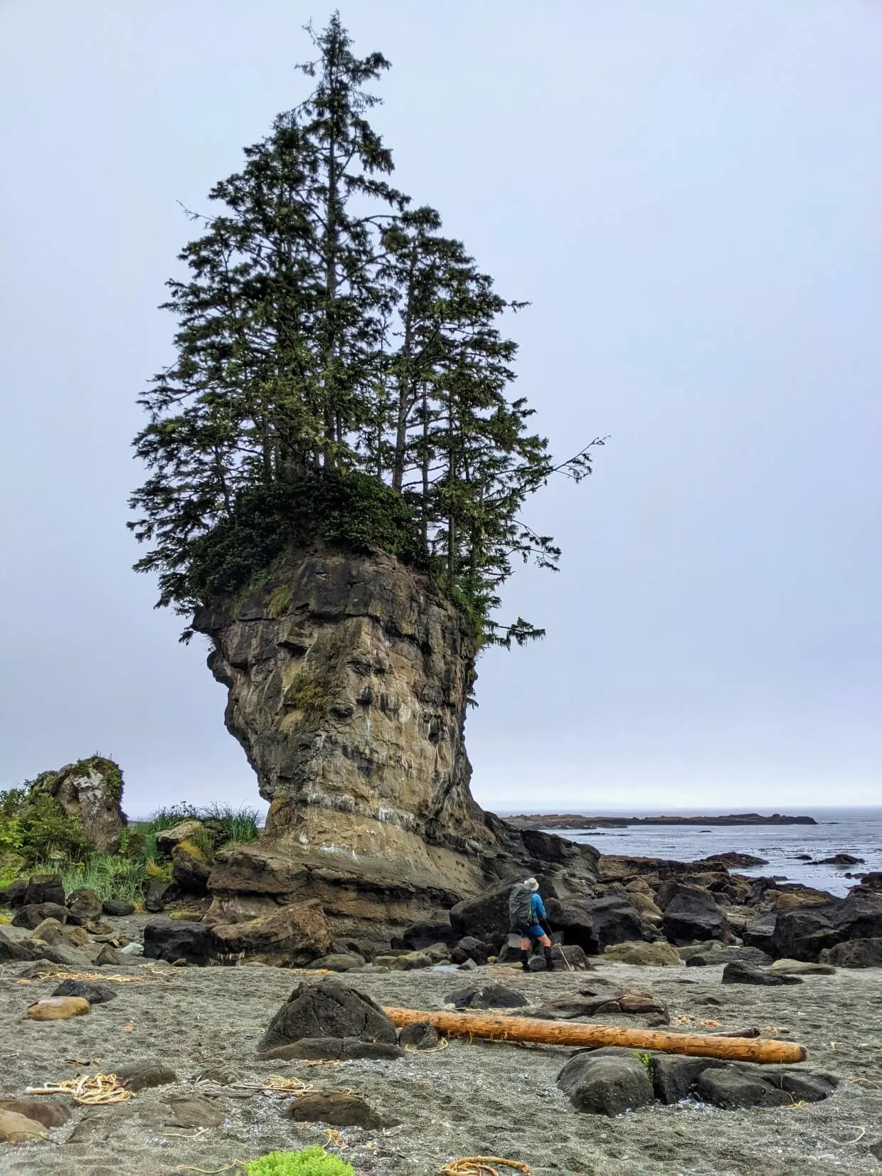 JR standing on beach looking up at tall 'flowerpot' rock - a rock that has been eroded by the ocean, leaving trees and foliage at the top