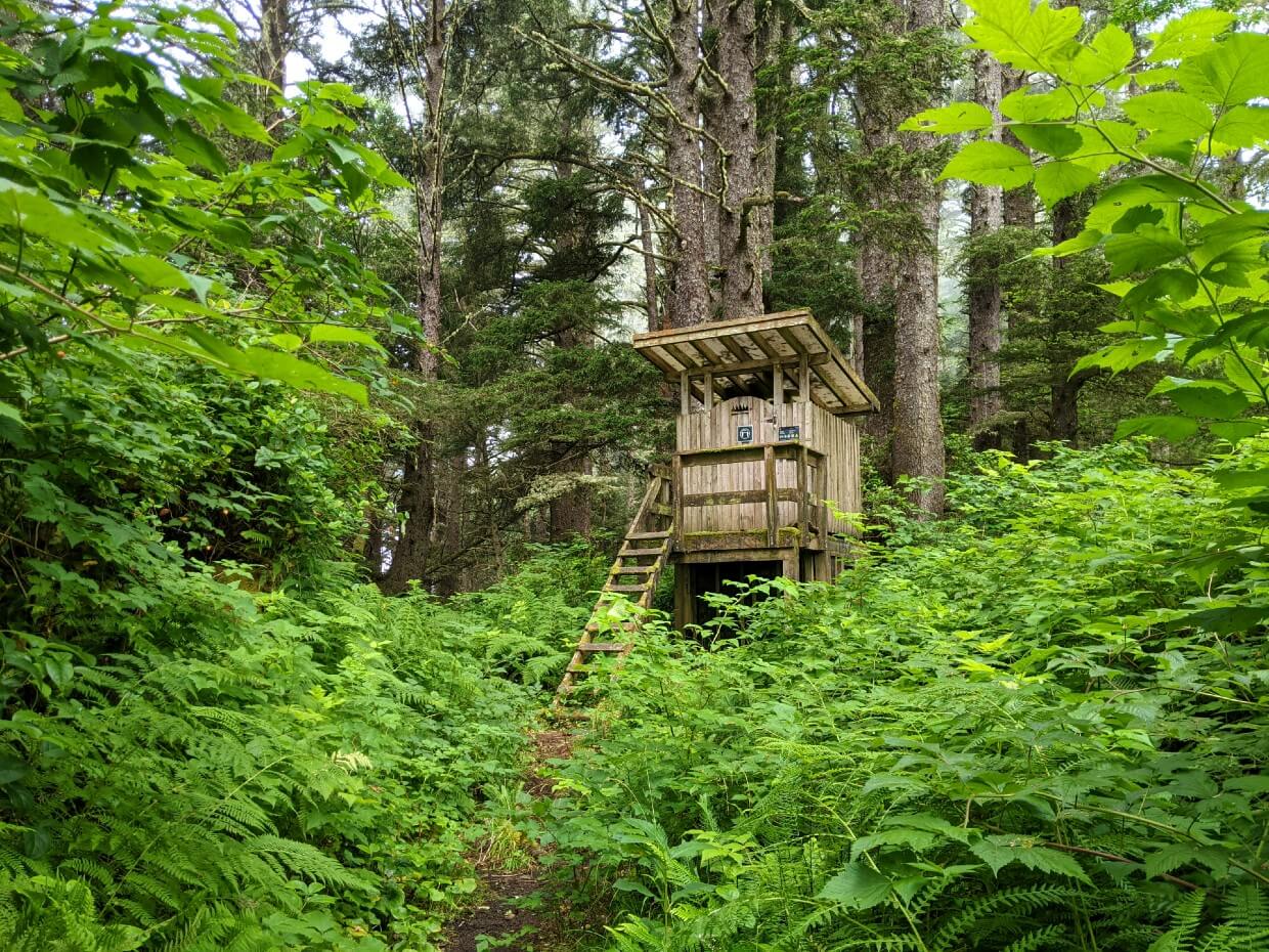 Distance view of two story wooden composting outhouse at Klanawa River campground, set into the forest