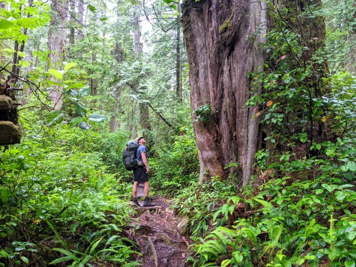 The West Coast Trail: Complete 2026 Hiking Guide | Off Track Travel