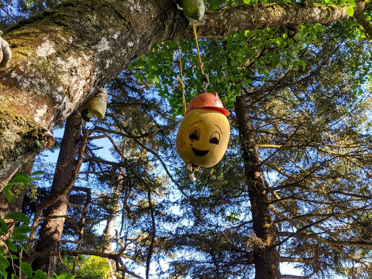 Yellow buoy is hanging from tree - it has an orange hard hat and a smiley face drawn on it
