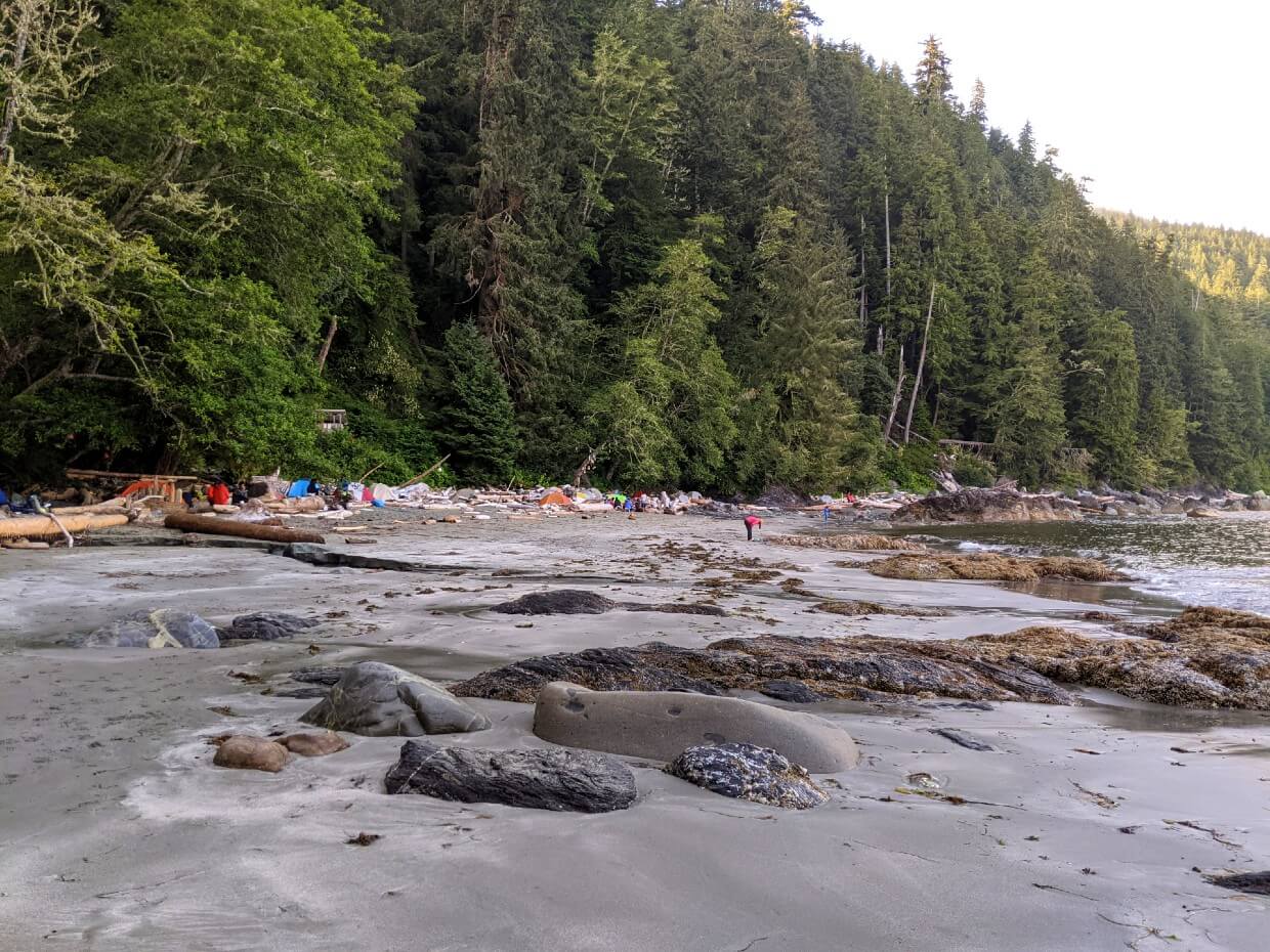 Looking across sandy beach towards crescent shaped Thrasher Cove Camp, where colourful tents are set up against driftwood near the tree line