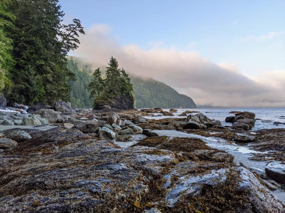 Looking across rocks (some covered in seaweed) towards headland and ocean at Thrasher Cove