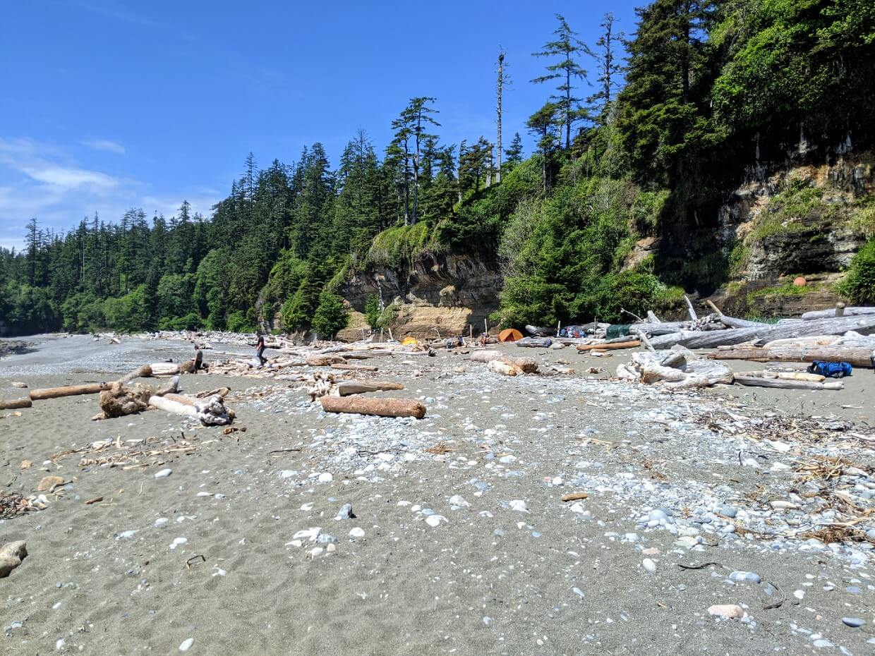 Looking across sandy beach towards camping area at Tsusiat Falls - some colourful tents are visible