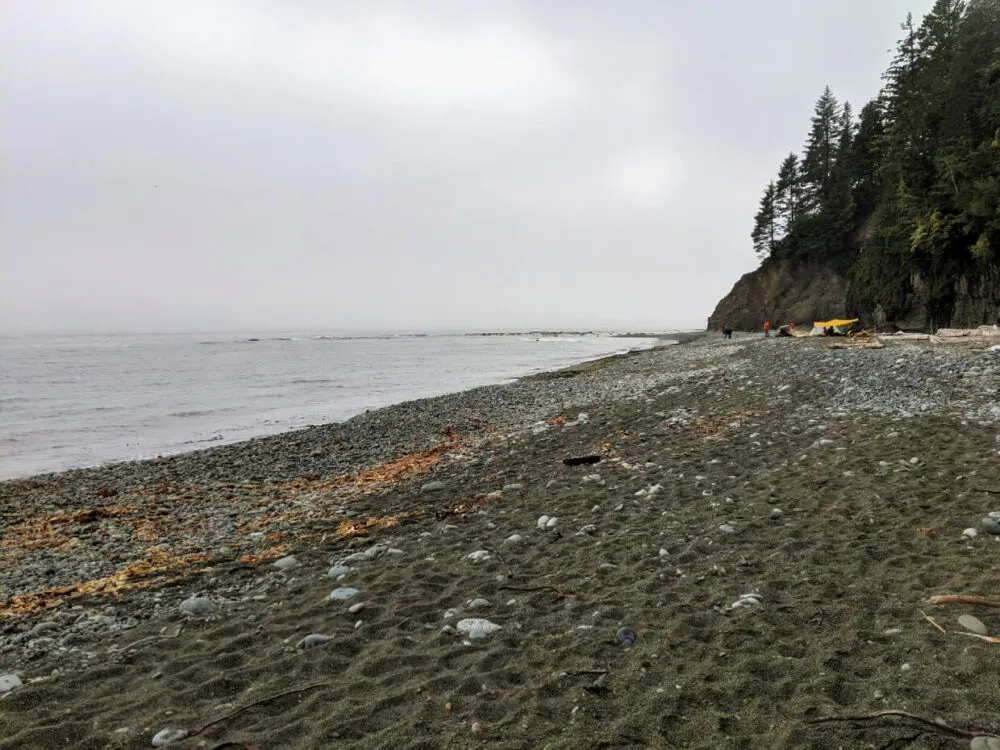 Looking down Walbran Creek Beach, which features both sand and pebbles