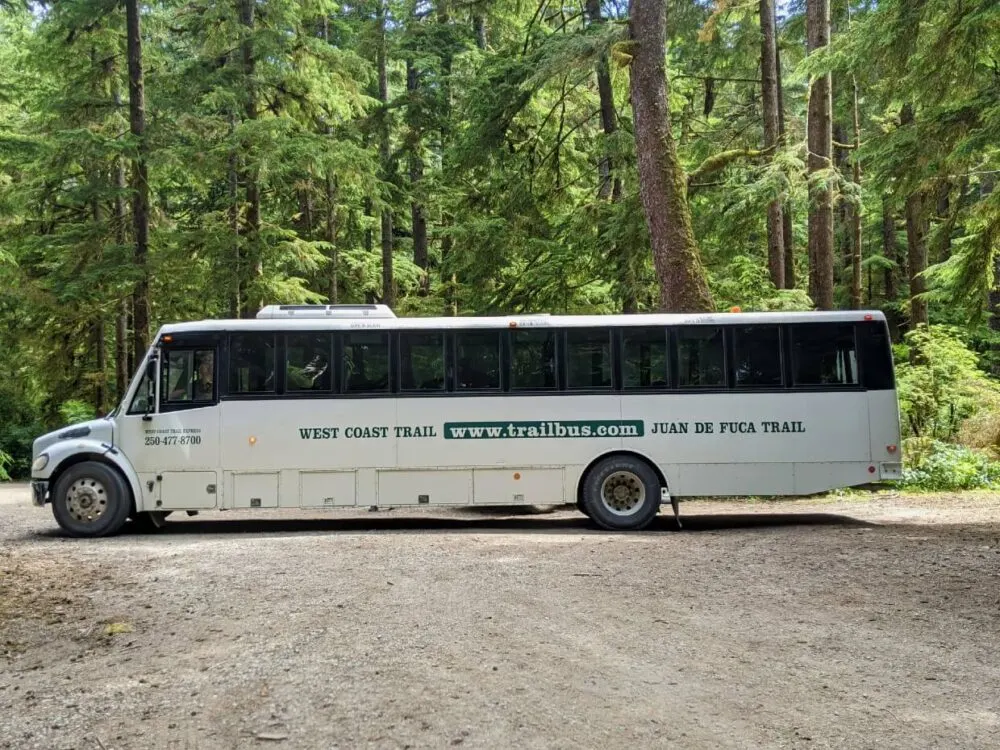 Large white bus turning around in forest parking lot