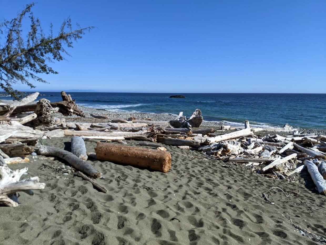 Sandy Klanawa Beach with piles of driftwood in front of ocean