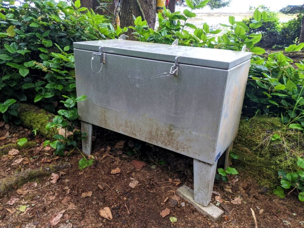 Front view of closed metal food cache on West Coast Trail, surrounded by foliage
