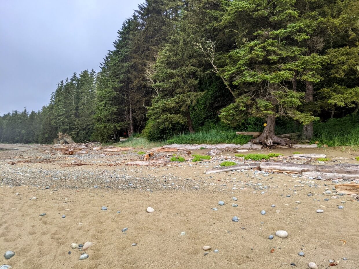 Distant view of Orange Juice Camp, featuring sand and rock beach, lined by forest with orange buoys in the trees