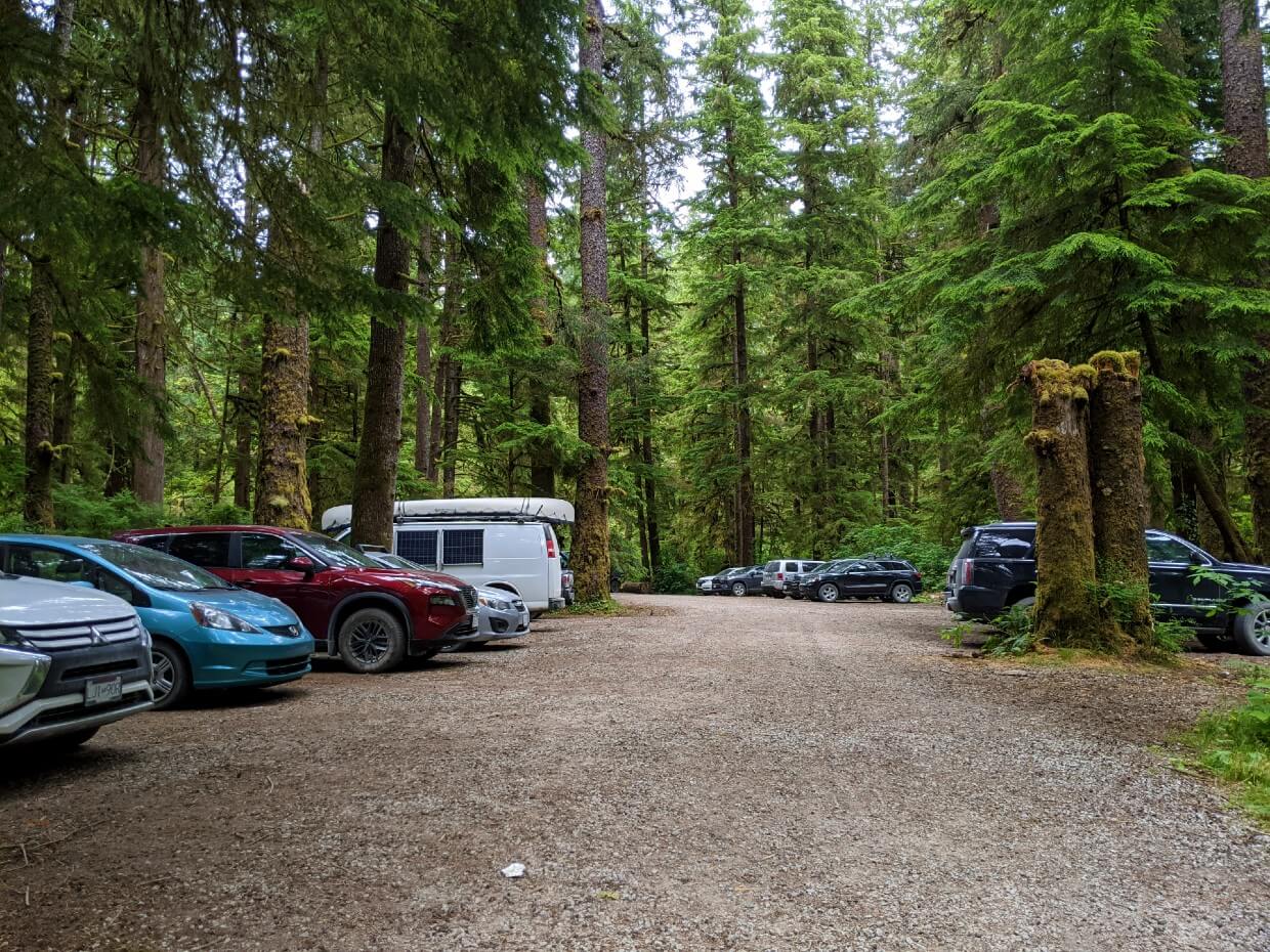 View of the parking area at Pachena Bay featuring parked vehicles on right and left of camera in a temperate rainforest, with trees lining the area