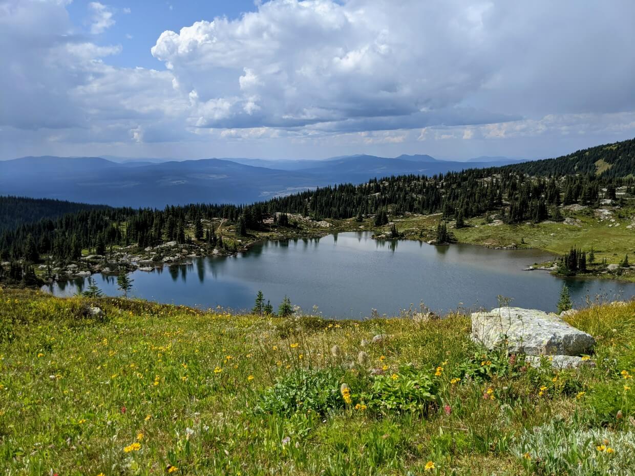 Looking down to Sheila Lake from Plateau of the Lakes ridge, with rounded mountains in background and yellow wildflowers in foreground