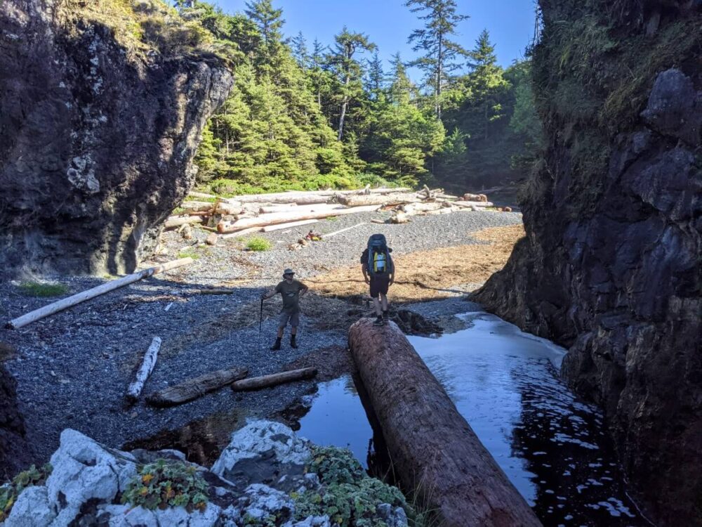 A huge tree log stretches from camera to beach, where two hikers have just crossed