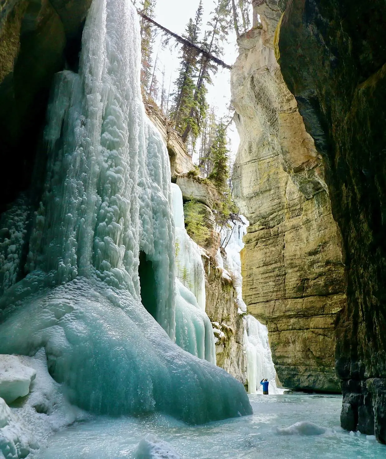 Vertical photo of a huge frozen waterfall cascading from the top of a narrow canyon