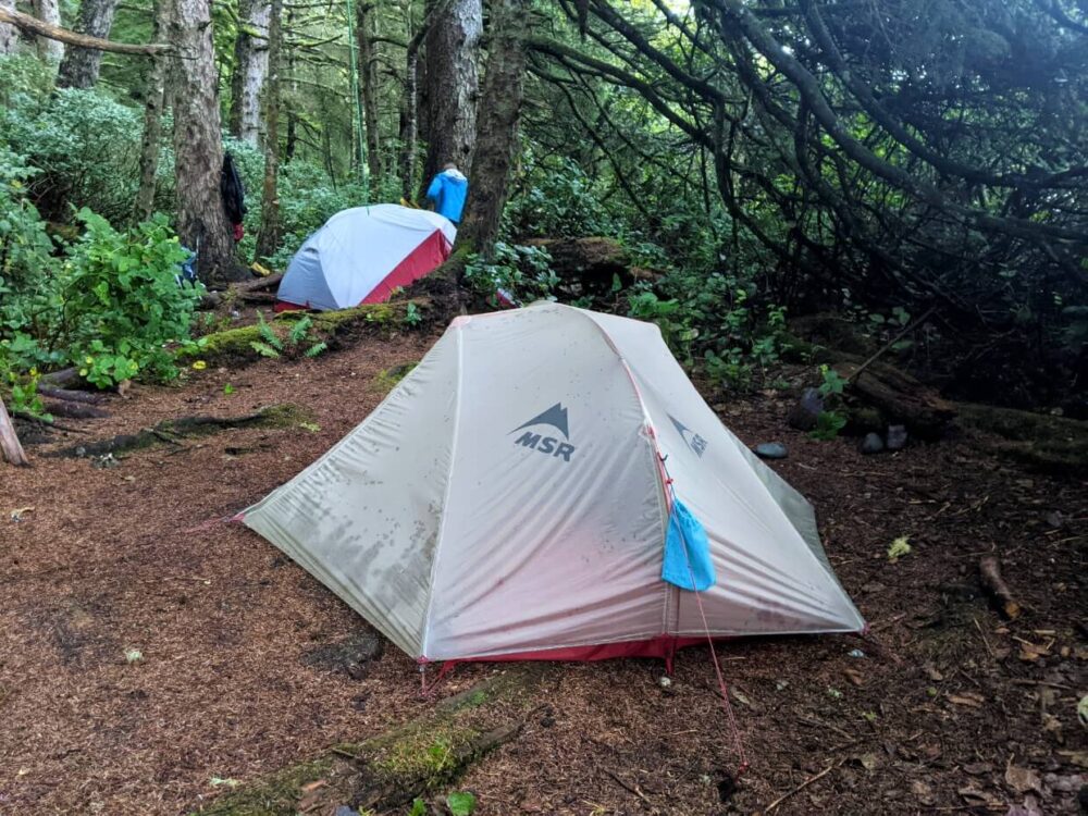 Two set up tents in forest camping area at Calvin Falls