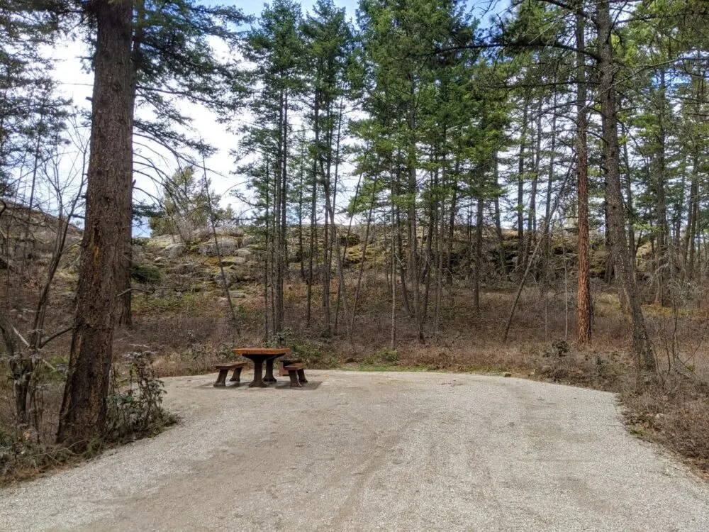 Dirt camping area at Ellison Provincial Park surrounded by trees, with wooden picnic table and metal fire pit located on the left of the camping area