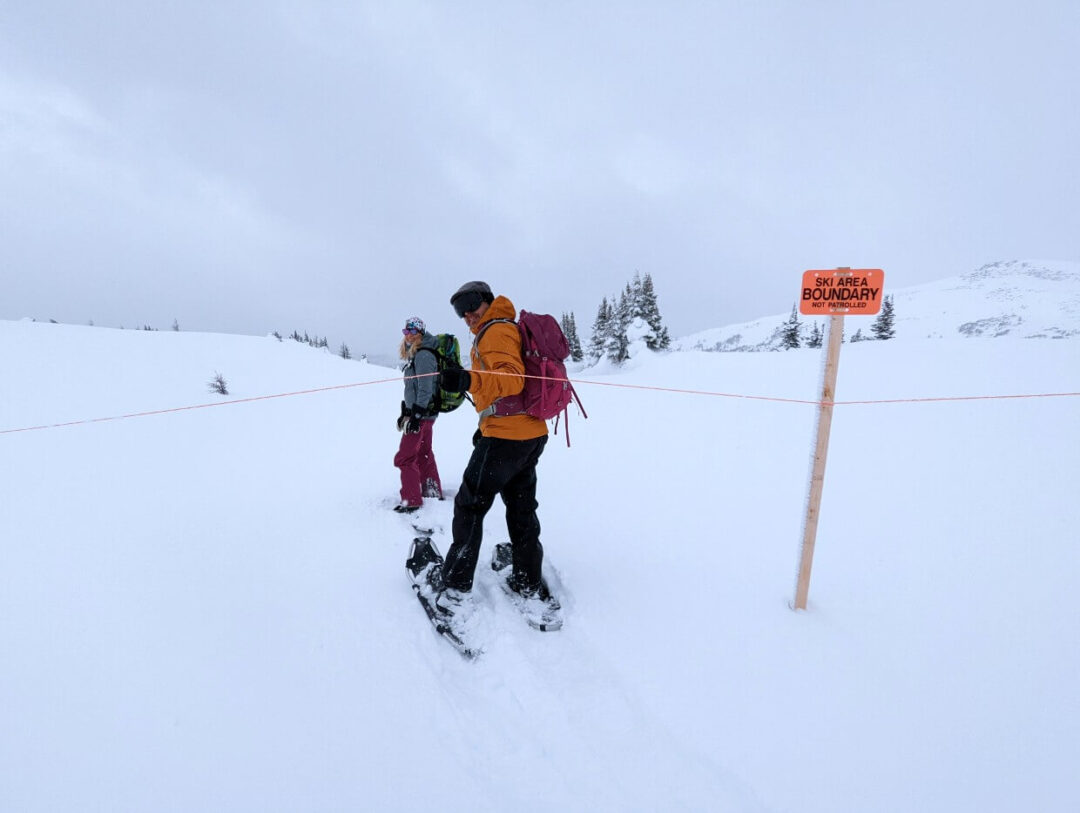 The Best Snowshoeing in Banff Sunshine Meadows on the Continental Divide