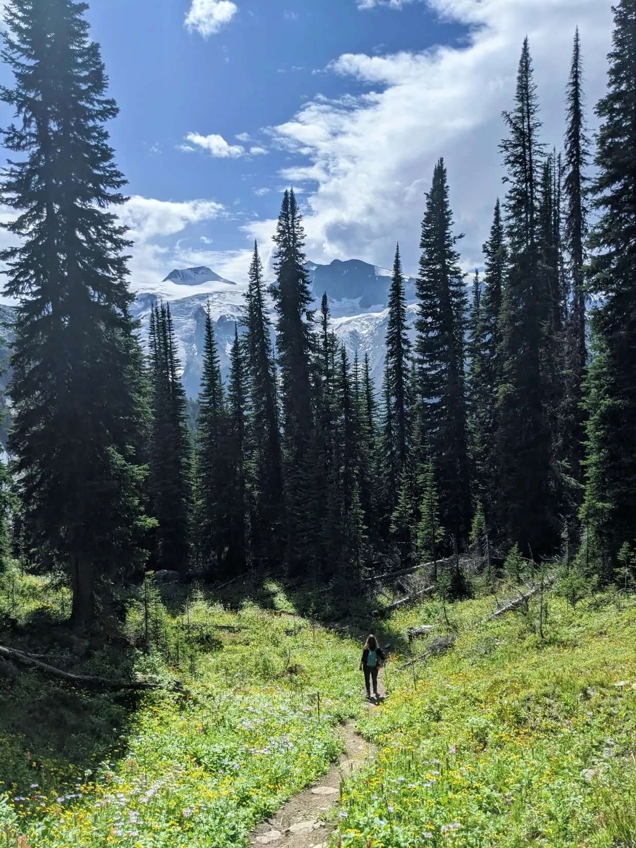 Back view of Gemma hiking through meadow area on Jumbo Pass Trail, with Horseshoe Glacier just visible above trees
