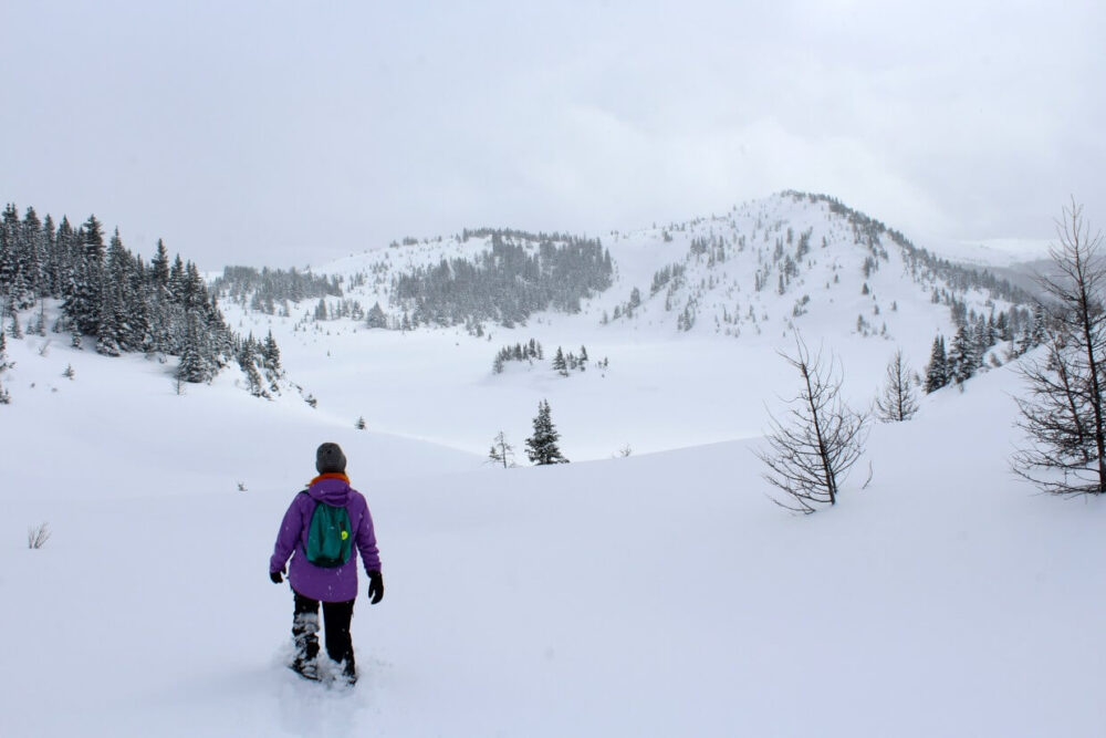 Back view of Gemma snowshoeing in deep powder, heading towards a frozen lake below, which features a treed island
