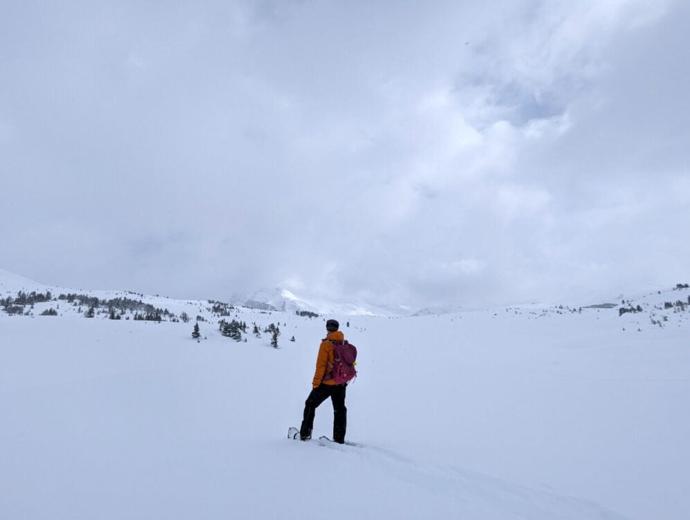 Back view of JR snowshoeing in Sunshine Meadows looking out to views of mountains