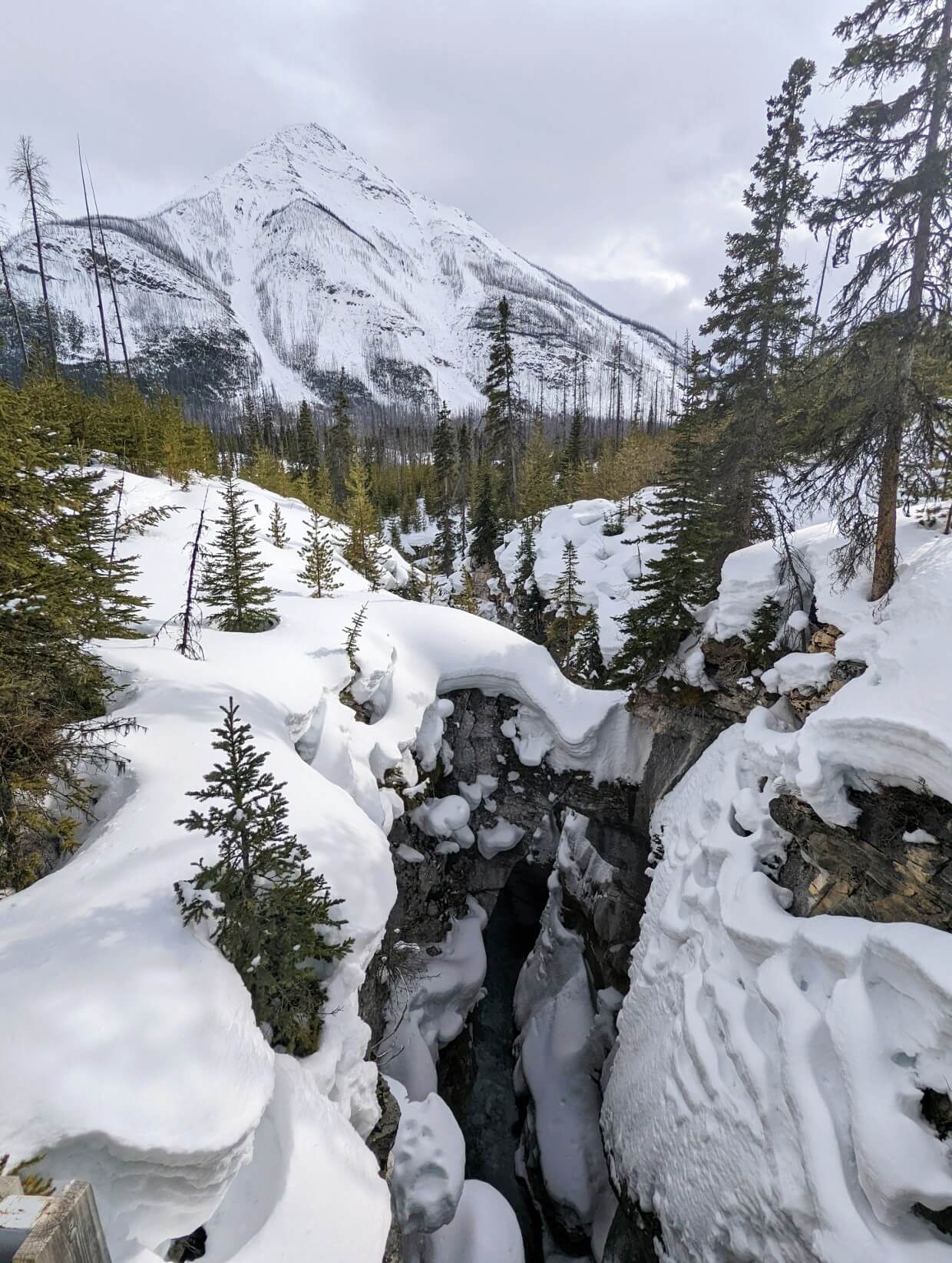 Looking down into deep snow covered canyon from bridge, water is visible at the bottom. There is a large snow covered mountain in the background, set behind a forest