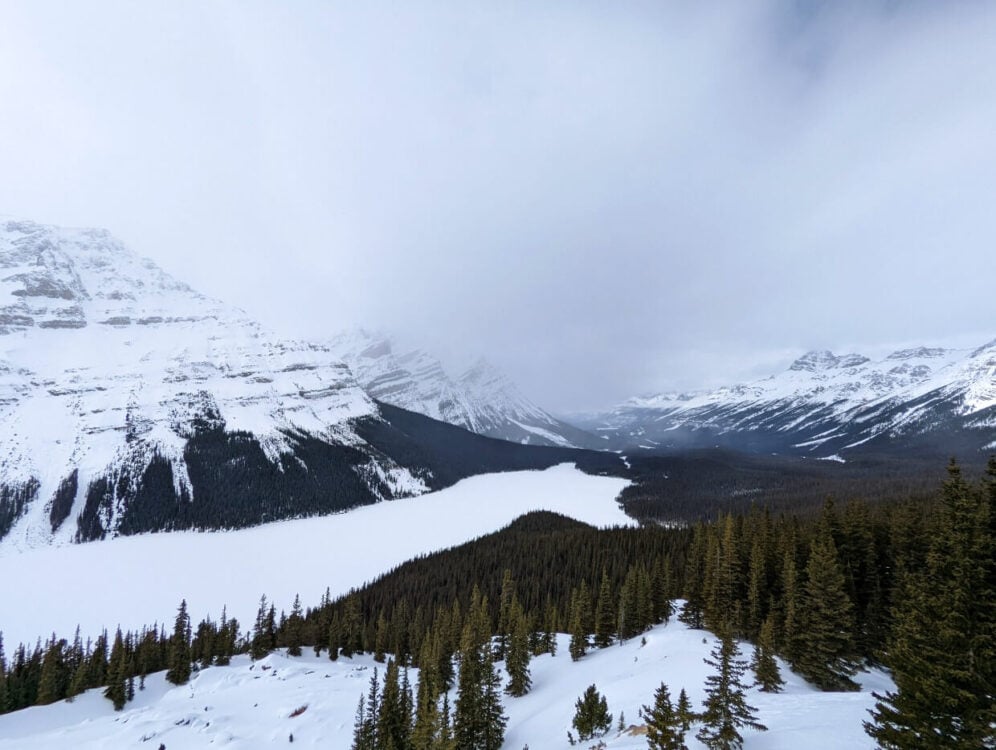 Looking down from elevated viewpoint to frozen Peyto Lake, which is surrounded by snow capped mountains, part of the Canadian Rockies