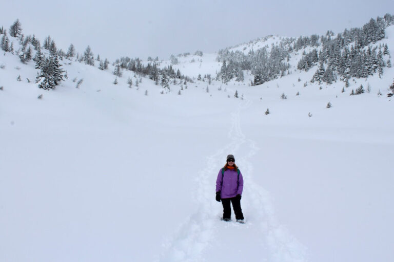 The Best Snowshoeing in Banff Sunshine Meadows on the Continental Divide