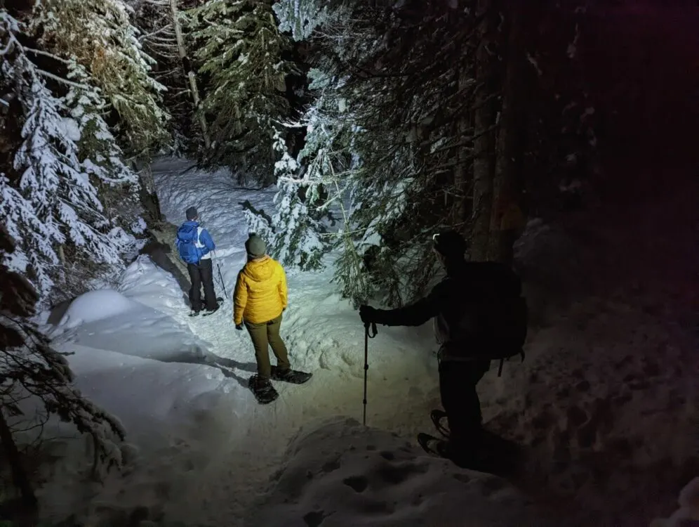Dark view of three people snowshoeing in forest, lit by headlamp only