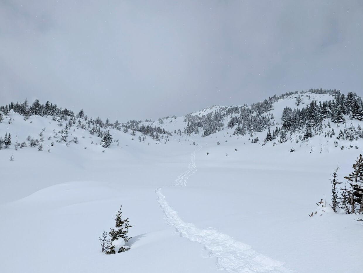 Snowshoe tracks leading to distant mountain, Sunshine Meadows