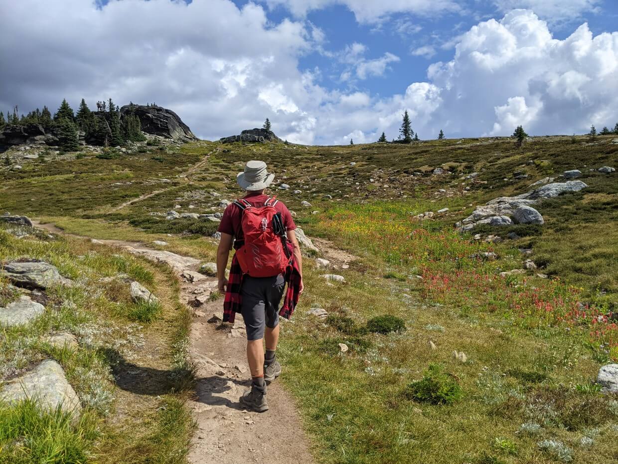 Back view of JR walking on dirt Trophy Meadows Trail with red wildflowers on right and uphill trail ahead