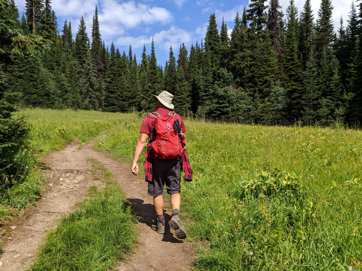 Back view of JR walking on right hand side of double trail, surrounded by lush wildflower meadows